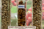 Three clear containers with coffee beans labeled 'Honey' and 'Honey-processed Thai Robusta' 