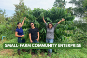 Three people standing in a coffee plantation with 'Small-Farm Community Enterprise' text overlay.