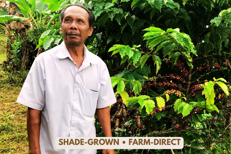 Man standing in a coffee plantation with 'Shade-Grown • Farm-Direct' text overlay.