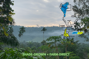 Map of South Thailand with shaded regions over a tropical landscape