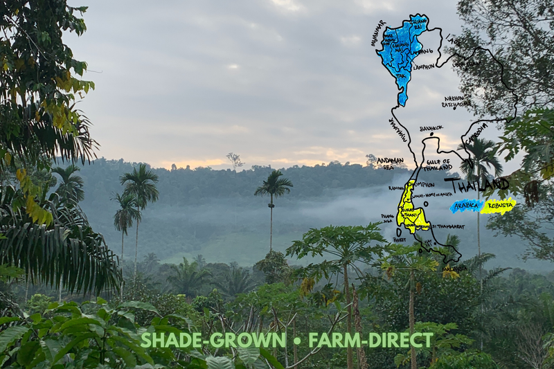 Map of South Thailand with shaded regions over a tropical landscape